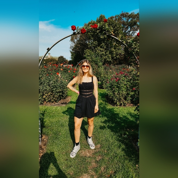 Meet your Posher, Dusty - Picture 5 of 7